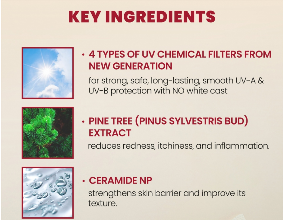 [KSECRET] SEOUL 1988 Sun : Pine Tree + Ceramide 50ml